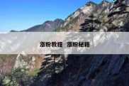 涨粉教程  涨粉秘籍