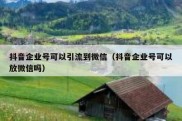 抖音企业号可以引流到微信（抖音企业号可以放微信吗）