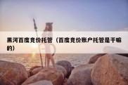 黑河百度竞价托管（百度竞价账户托管是干嘛的）