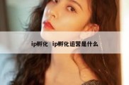ip孵化  ip孵化运营是什么