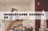 好的竞价托管平台有哪些  竞价托管是什么意思