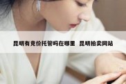 昆明有竞价托管吗在哪里  昆明拍卖网站