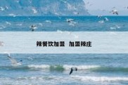 辣餐饮加盟  加盟辣庄