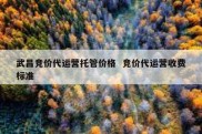 武昌竞价代运营托管价格  竞价代运营收费标准