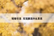 短链引流  引流截流什么意思