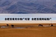 合肥百度竞价推广托管  合肥百度网站推广