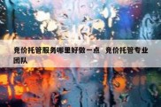 竞价托管服务哪里好做一点  竞价托管专业团队