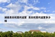 湖南竞价托管代运营  竞价托管代运营多少钱