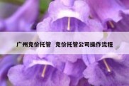 广州竞价托管  竞价托管公司操作流程
