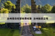 沧州竞价托管收费标准  沧州拍卖公司