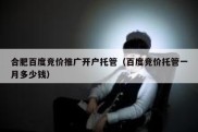 合肥百度竞价推广开户托管（百度竞价托管一月多少钱）