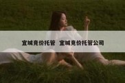 宜城竞价托管  宜城竞价托管公司