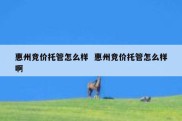 惠州竞价托管怎么样  惠州竞价托管怎么样啊