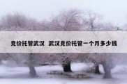 竞价托管武汉  武汉竞价托管一个月多少钱