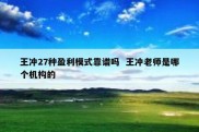 王冲27种盈利模式靠谱吗  王冲老师是哪个机构的