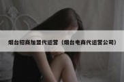 烟台招商加盟代运营（烟台电商代运营公司）