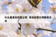 什么是竞价托管公司  竞价托管公司联系方式