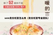 sem竞价托管怎么样（竞价托管专业团队）