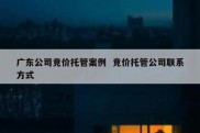 广东公司竞价托管案例  竞价托管公司联系方式