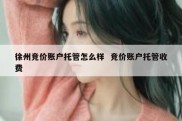 徐州竞价账户托管怎么样  竞价账户托管收费