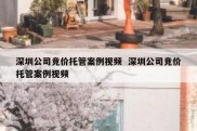 深圳公司竞价托管案例视频  深圳公司竞价托管案例视频