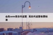 山东sem竞价代运营  竞价代运营收费标准