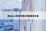 邢台sem竞价托管公司的简单介绍