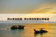 河口竞价托管  河口竞价托管公司电话