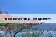 吐鲁番关键词竞价托管（吐鲁番网站推广）