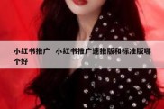 小红书推广  小红书推广速推版和标准版哪个好