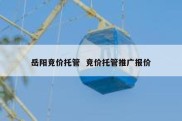 岳阳竞价托管  竞价托管推广报价