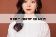 搜索推广（搜索推广是什么意思）