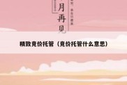 精致竞价托管（竞价托管什么意思）