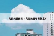 竞价托管团队（竞价托管哪家便宜）