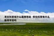 竞价托管有什么服务项目  竞价托管有什么服务项目吗