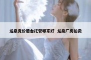 龙泉竞价后台托管哪家好  龙泉厂房拍卖