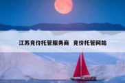 江苏竞价托管服务商  竞价托管网站