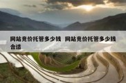 网站竞价托管多少钱  网站竞价托管多少钱合适