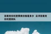 百度竞价托管费用价格是多少  云浮百度竞价托管团队