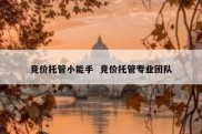 竞价托管小能手  竞价托管专业团队