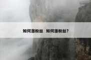 如何涨粉丝  如何涨粉丝?