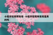 小程序短视频变现  小程序短视频变现是真的吗