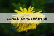 公众号运营  公众号运营模式有哪几种