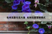 私域流量引流方案  私域流量营销模式
