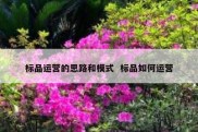 标品运营的思路和模式  标品如何运营