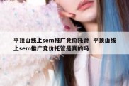 平顶山线上sem推广竞价托管  平顶山线上sem推广竞价托管是真的吗