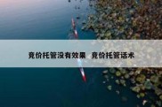 竞价托管没有效果  竞价托管话术