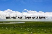 自媒体推广方案（自媒体推广方案模板）