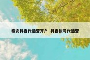 泰安抖音代运营开户  抖音帐号代运营