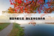 强宣传重引流  强化宣传引领作用